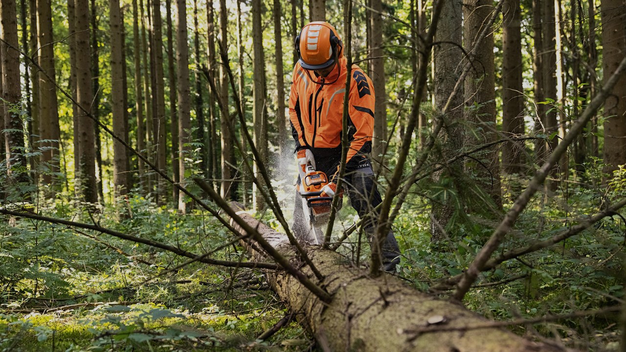 Travailleur en forêt portant un casque et un équipement de sécurité, utilisant une tronçonneuse pour couper un arbre au sol, illustrant le paysagement forestier.