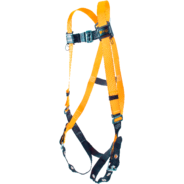 Safety harness